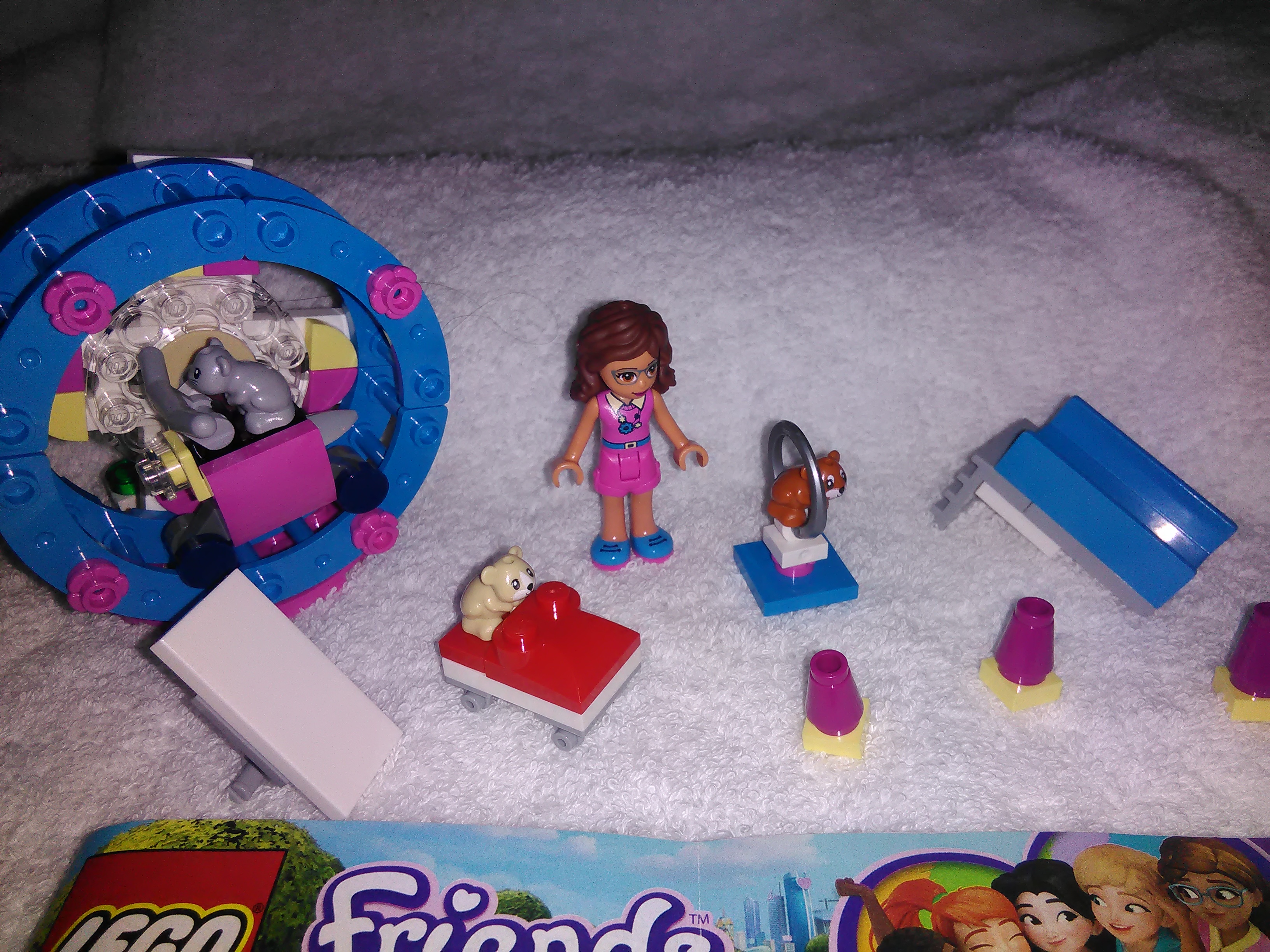 Olivia's hamster playground image 6